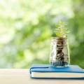 Key Accountancy Services Essential for Business Success and Sustainability