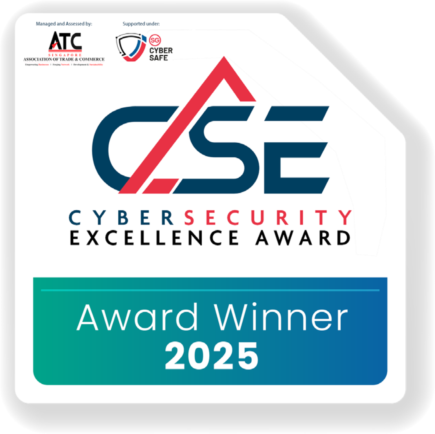 Cyber Security Excellence Award 2025